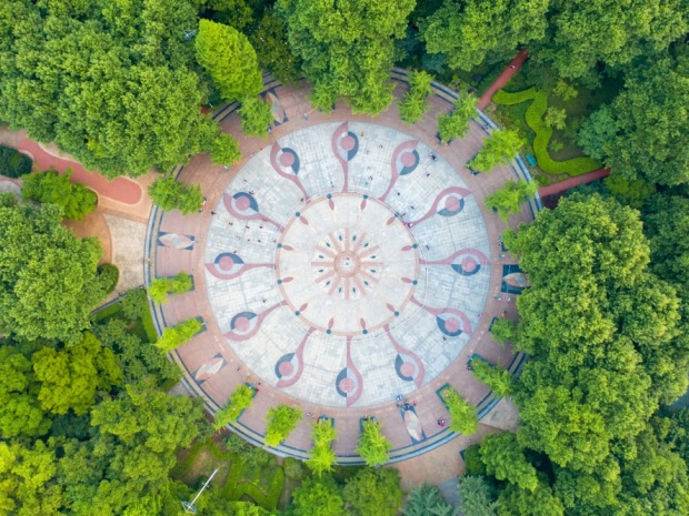 物业回应小区楼前草地变菜地,业主维权应如何操作?